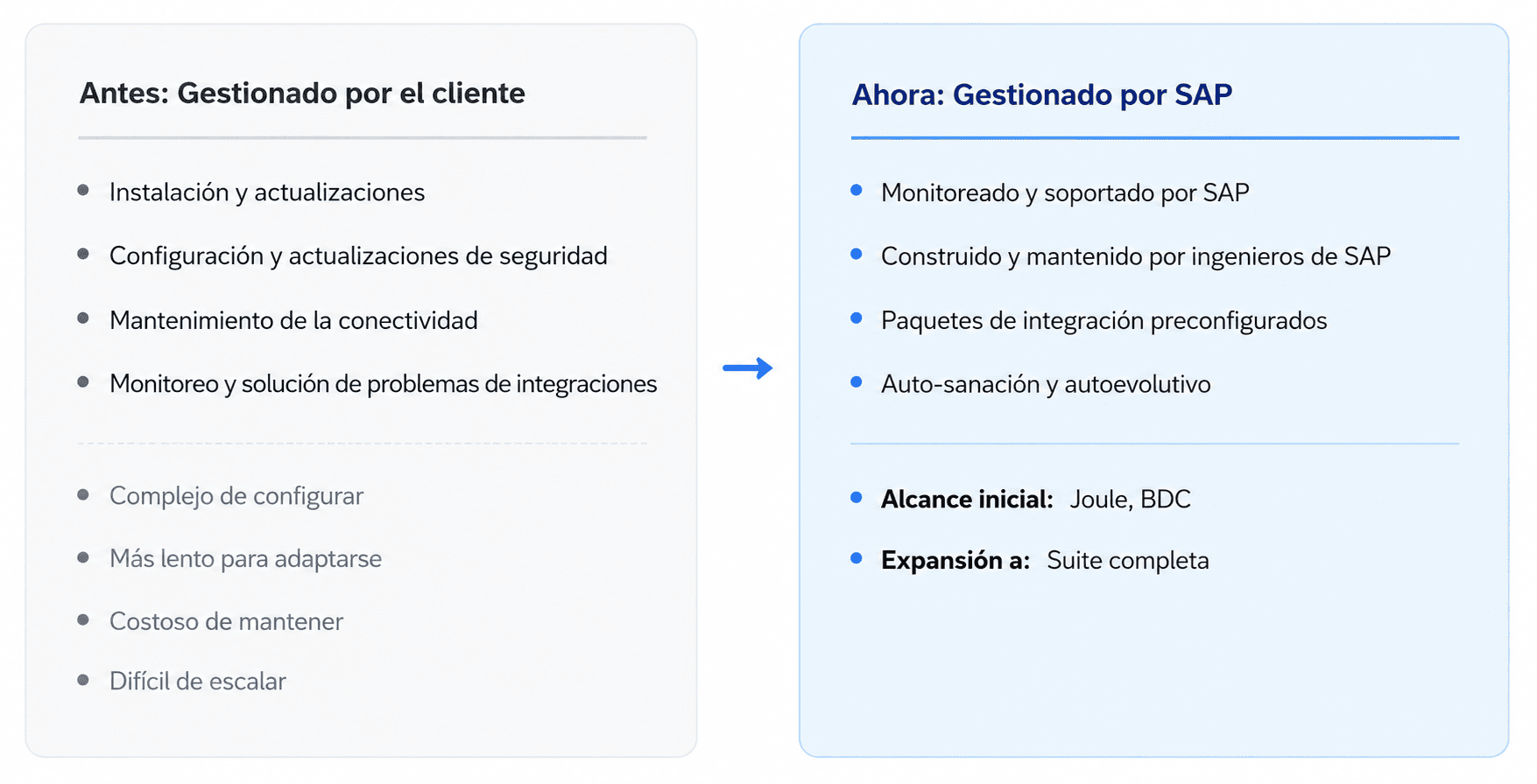 sap-s4hana-cloud-private-edition-inteligencia-artificial.img